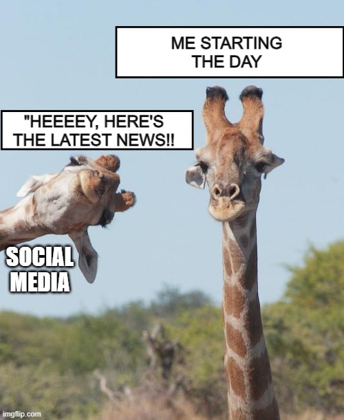 Silly Giraffe | ME STARTING THE DAY; "HEEEEY, HERE'S THE LATEST NEWS!! SOCIAL MEDIA | image tagged in silly giraffe | made w/ Imgflip meme maker