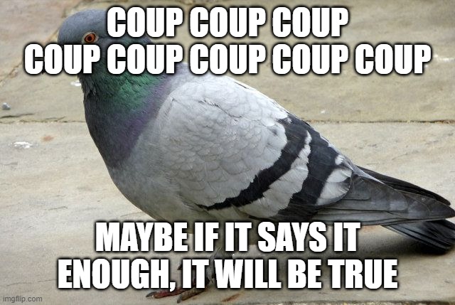 popular opinion pidgeon | COUP COUP COUP COUP COUP COUP COUP COUP MAYBE IF IT SAYS IT ENOUGH, IT WILL BE TRUE | image tagged in popular opinion pidgeon | made w/ Imgflip meme maker