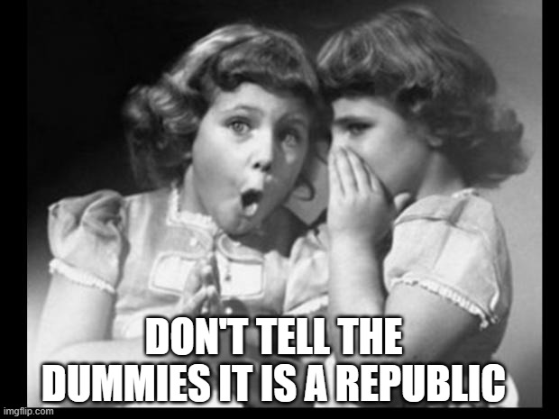 Friends sharing | DON'T TELL THE DUMMIES IT IS A REPUBLIC | image tagged in friends sharing | made w/ Imgflip meme maker