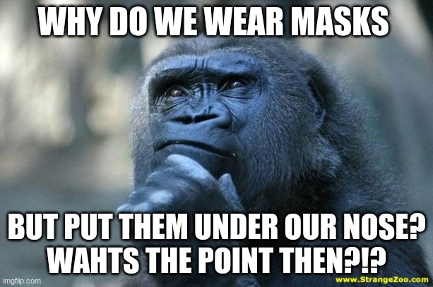 Deep Thoughts | WHY DO WE WEAR MASKS; BUT PUT THEM UNDER OUR NOSE?
WAHTS THE POINT THEN?!? | image tagged in deep thoughts | made w/ Imgflip meme maker