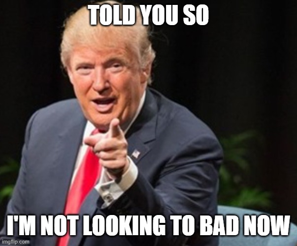 Trump I told you so | TOLD YOU SO I'M NOT LOOKING TO BAD NOW | image tagged in trump i told you so | made w/ Imgflip meme maker
