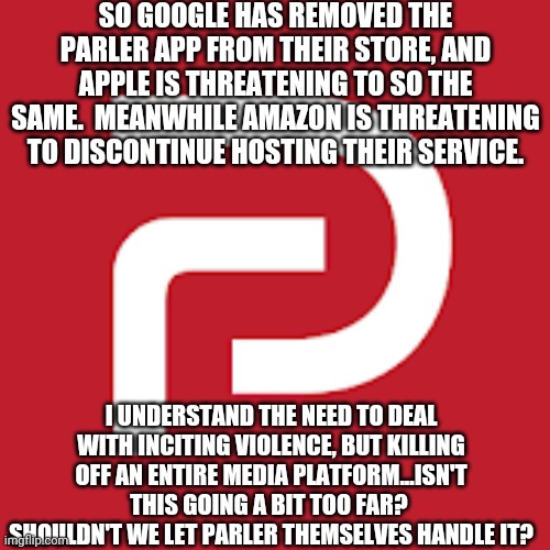 I'm not on board with this. | SO GOOGLE HAS REMOVED THE PARLER APP FROM THEIR STORE, AND APPLE IS THREATENING TO SO THE SAME.  MEANWHILE AMAZON IS THREATENING TO DISCONTINUE HOSTING THEIR SERVICE. I UNDERSTAND THE NEED TO DEAL WITH INCITING VIOLENCE, BUT KILLING OFF AN ENTIRE MEDIA PLATFORM...ISN'T THIS GOING A BIT TOO FAR?  SHOULDN'T WE LET PARLER THEMSELVES HANDLE IT? | image tagged in parler | made w/ Imgflip meme maker