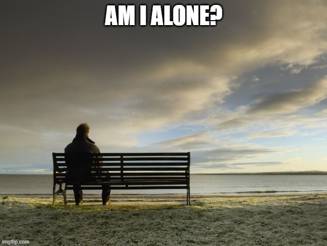 ?? | AM I ALONE? | image tagged in alone | made w/ Imgflip meme maker