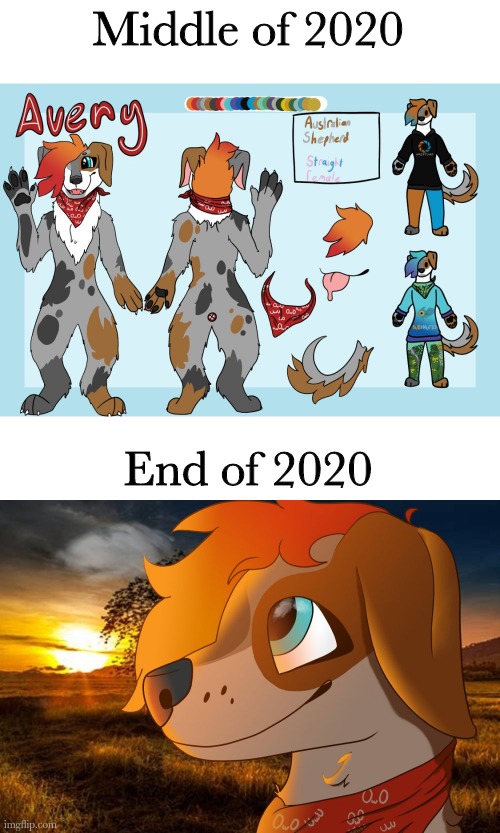 Improvement (inspired by ColeOwOBull) | Middle of 2020; End of 2020 | image tagged in avery | made w/ Imgflip meme maker