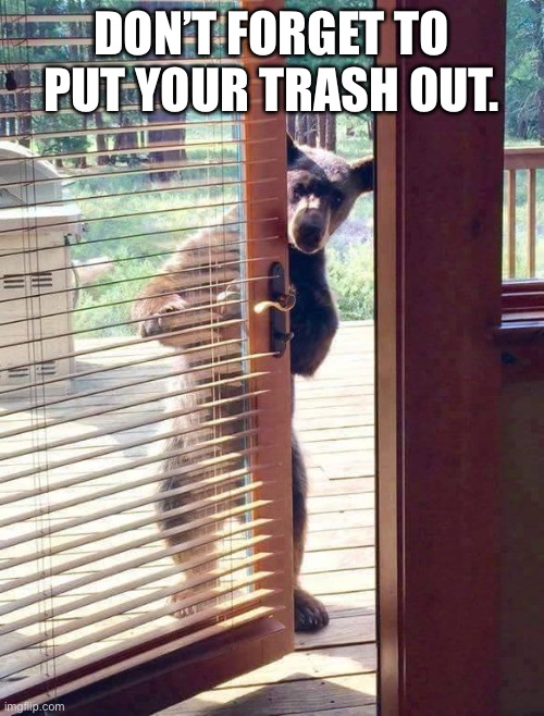 Bear door | DON’T FORGET TO PUT YOUR TRASH OUT. | image tagged in bear door | made w/ Imgflip meme maker