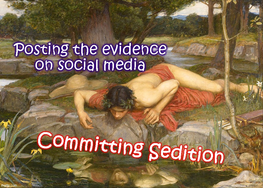Imagine being so narcissistic you can't help boasting about your crimes | Posting the evidence
on social media; Committing Sedition | image tagged in narcissistic love,sedition,narcissism,politics,insurrection | made w/ Imgflip meme maker