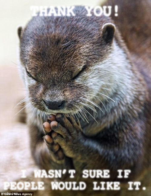 Thank you Lord Otter | THANK YOU! I WASN’T SURE IF PEOPLE WOULD LIKE IT. | image tagged in thank you lord otter | made w/ Imgflip meme maker