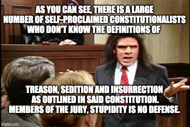 Constitutionalist Stupidity | AS YOU CAN SEE, THERE IS A LARGE NUMBER OF SELF-PROCLAIMED CONSTITUTIONALISTS WHO DON'T KNOW THE DEFINITIONS OF; TREASON, SEDITION AND INSURRECTION 
AS OUTLINED IN SAID CONSTITUTION.
MEMBERS OF THE JURY, STUPIDITY IS NO DEFENSE. | image tagged in caveman lawyer,constitution,stupid people | made w/ Imgflip meme maker