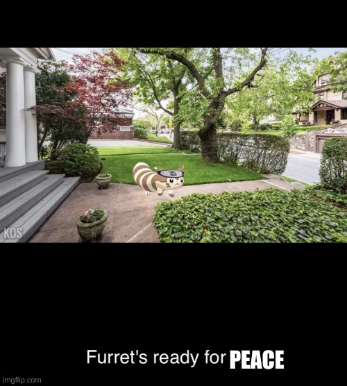 Furrets ready for war | PEACE | image tagged in furrets ready for war | made w/ Imgflip meme maker