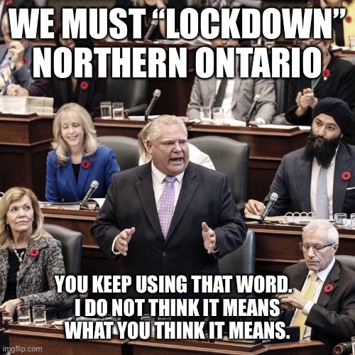 LOCKDOWN NORTHERN ONTARIO | WE MUST “LOCKDOWN” NORTHERN ONTARIO; YOU KEEP USING THAT WORD.  
I DO NOT THINK IT MEANS
WHAT YOU THINK IT MEANS. | image tagged in pandemic,ontario,government | made w/ Imgflip meme maker