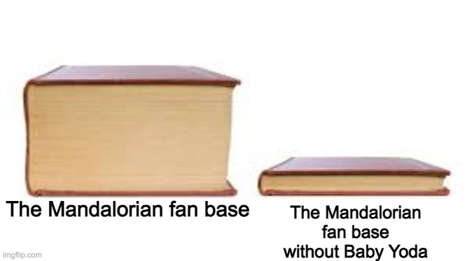 Just the facts | The Mandalorian fan base without Baby Yoda; The Mandalorian fan base | image tagged in big book small book,star wars,memes,funny,true | made w/ Imgflip meme maker