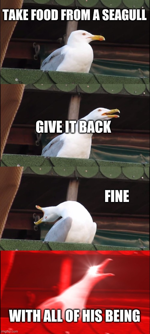 for school | TAKE FOOD FROM A SEAGULL; GIVE IT BACK; FINE; WITH ALL OF HIS BEING | image tagged in memes,inhaling seagull | made w/ Imgflip meme maker