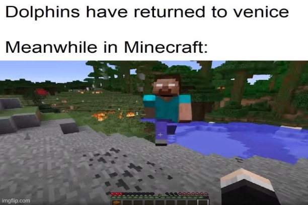E | image tagged in minecraft,herobrine,funny | made w/ Imgflip meme maker