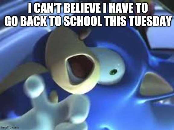 >:( | I CAN'T BELIEVE I HAVE TO GO BACK TO SCHOOL THIS TUESDAY | image tagged in sonic in pain | made w/ Imgflip meme maker