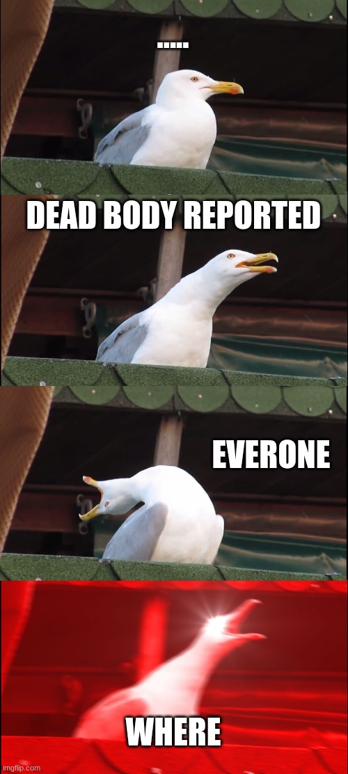 Inhaling Seagull Meme | ..... DEAD BODY REPORTED; EVERONE; WHERE | image tagged in memes,inhaling seagull | made w/ Imgflip meme maker