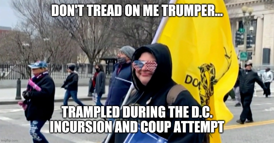 Apparently, nobody read the "Don't tread on me flag" | DON'T TREAD ON ME TRUMPER... TRAMPLED DURING THE D.C. INCURSION AND COUP ATTEMPT | image tagged in riots,coup,washington dc,capital,donald trump,election 2020 | made w/ Imgflip meme maker