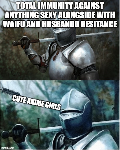 RIP my defense press F? | TOTAL IMMUNITY AGAINST ANYTHING SEXY ALONGSIDE WITH WAIFU AND HUSBANDO RESITANCE; CUTE ANIME GIRLS | image tagged in knight with arrow in helmet | made w/ Imgflip meme maker