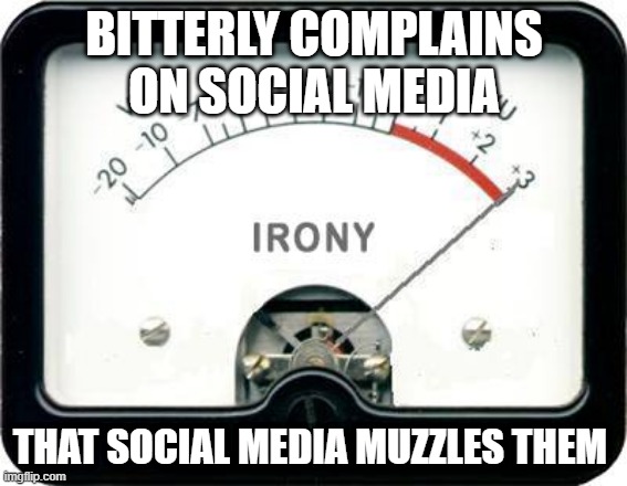Irony - social media complaint about social media | BITTERLY COMPLAINS ON SOCIAL MEDIA; THAT SOCIAL MEDIA MUZZLES THEM | image tagged in irony meter,social media,facebook,twitter,cancelled,butthurt | made w/ Imgflip meme maker