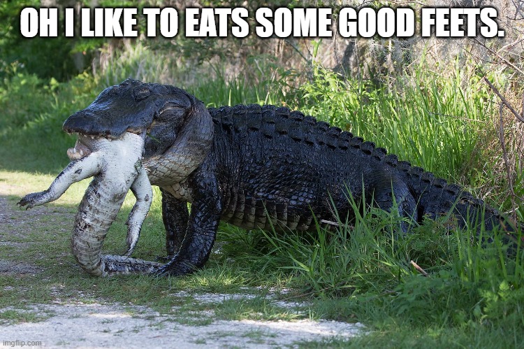 Croc eating gator | OH I LIKE TO EATS SOME GOOD FEETS. | image tagged in croc eating gator | made w/ Imgflip meme maker