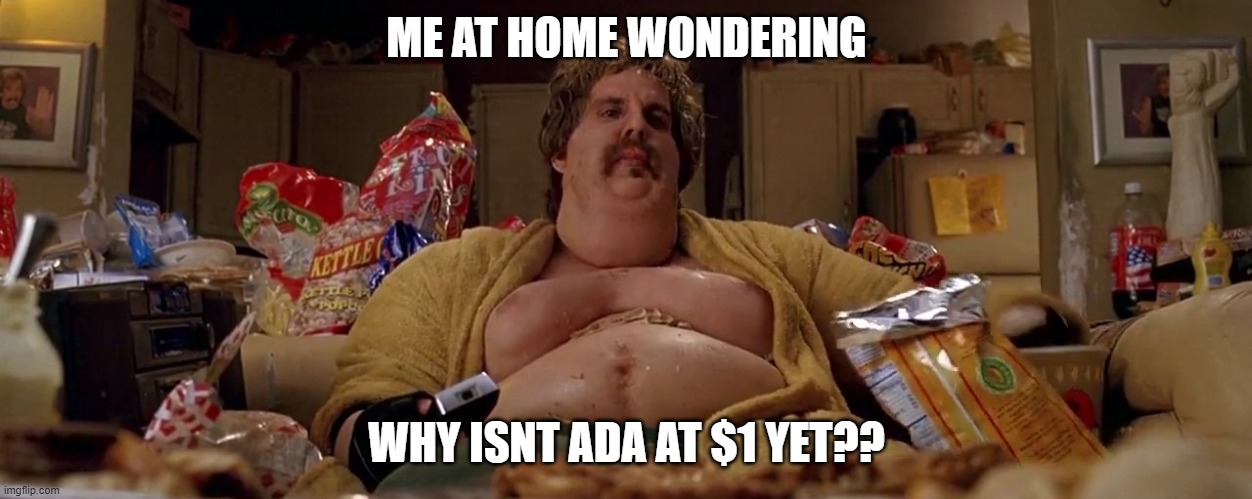 Ben Stiller Gets Fat | ME AT HOME WONDERING; WHY ISNT ADA AT $1 YET?? | image tagged in ben stiller gets fat | made w/ Imgflip meme maker