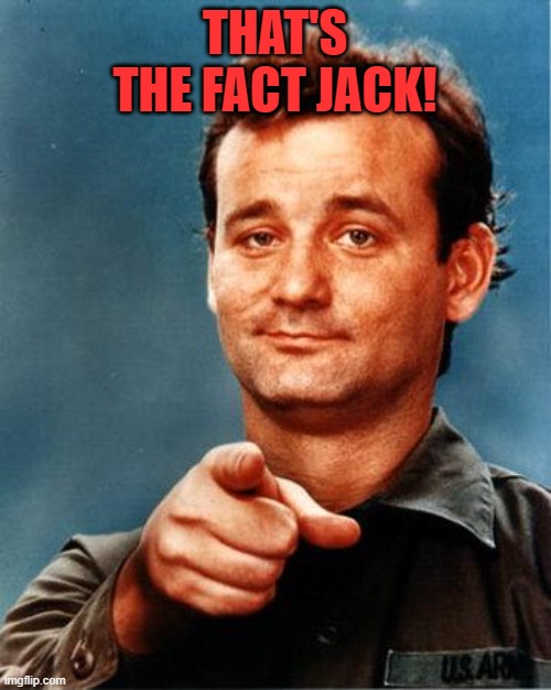 Bill Murray  | THAT'S THE FACT JACK! | image tagged in bill murray | made w/ Imgflip meme maker