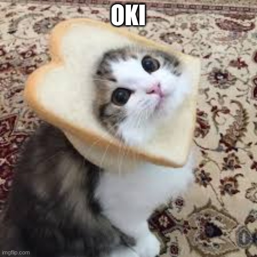 Bread cat | OKI | image tagged in bread cat | made w/ Imgflip meme maker