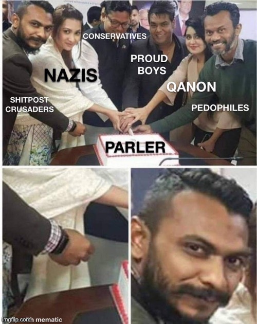There is another meme in this stream about who uses Parler, I submit this one in competition | image tagged in parler userbase,repost,social media,alt right,right wing,banned | made w/ Imgflip meme maker