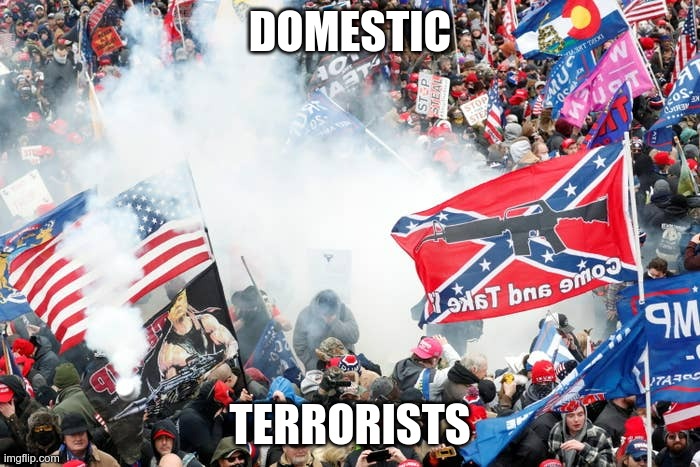 MAGA TERRORISM | DOMESTIC; TERRORISTS | image tagged in terrorists,maga,trump,traitors | made w/ Imgflip meme maker