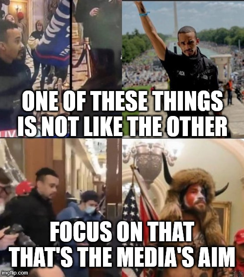 One of these things is not like the other. | ONE OF THESE THINGS IS NOT LIKE THE OTHER; FOCUS ON THAT THAT'S THE MEDIA'S AIM | image tagged in capitol hill,riots | made w/ Imgflip meme maker