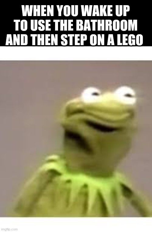 WHEN YOU WAKE UP TO USE THE BATHROOM AND THEN STEP ON A LEGO | image tagged in memes | made w/ Imgflip meme maker