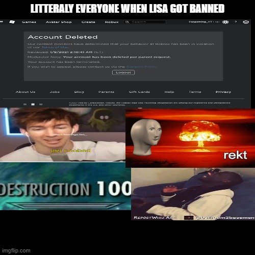 Props to you if you play roblox and no like her. | LITTERALY EVERYONE WHEN LISA GOT BANNED | image tagged in fun | made w/ Imgflip meme maker