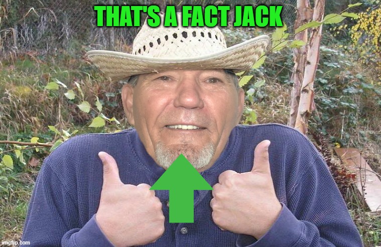 THAT'S A FACT JACK | image tagged in el-kewlew | made w/ Imgflip meme maker