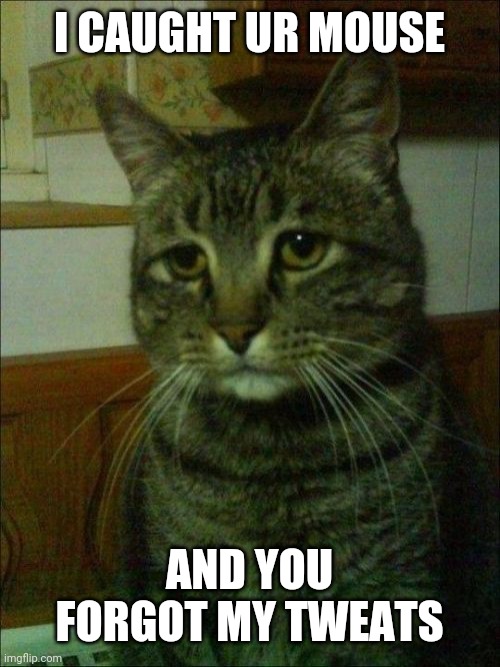 Depressed Cat | I CAUGHT UR MOUSE; AND YOU FORGOT MY TWEATS | image tagged in memes,depressed cat | made w/ Imgflip meme maker