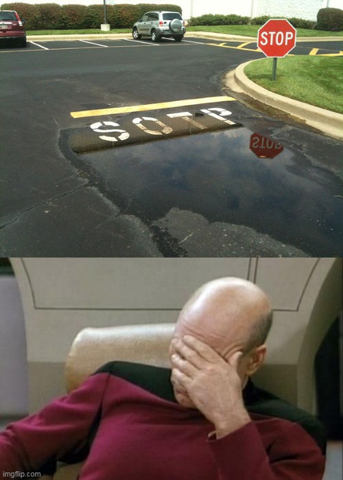 When you see the red octogonal sign, sotp | image tagged in memes,captain picard facepalm | made w/ Imgflip meme maker