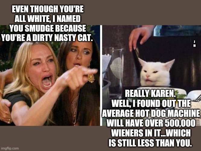 Smudge the cat | EVEN THOUGH YOU'RE ALL WHITE, I NAMED YOU SMUDGE BECAUSE YOU'RE A DIRTY NASTY CAT. J M; REALLY KAREN.  WELL, I FOUND OUT THE AVERAGE HOT DOG MACHINE WILL HAVE OVER 500,000 WIENERS IN IT...WHICH IS STILL LESS THAN YOU. | image tagged in smudge the cat | made w/ Imgflip meme maker