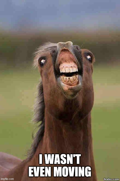 horse face | I WASN'T EVEN MOVING | image tagged in horse face | made w/ Imgflip meme maker
