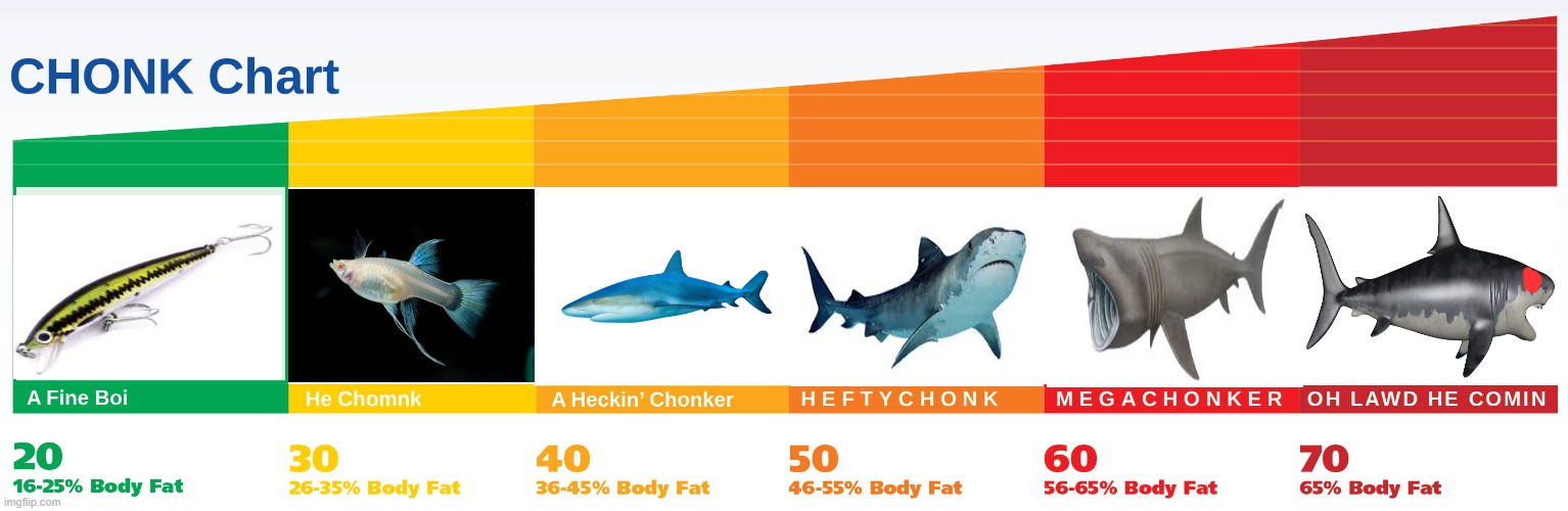 Chonk Chart (Fishes) | image tagged in chonk chart,fish | made w/ Imgflip meme maker