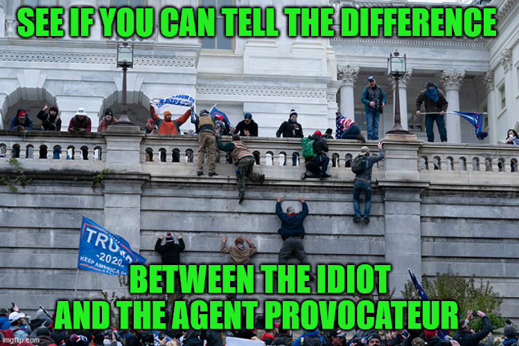 Trumpism 2021 | SEE IF YOU CAN TELL THE DIFFERENCE; BETWEEN THE IDIOT AND THE AGENT PROVOCATEUR | image tagged in trumpism 2021 | made w/ Imgflip meme maker