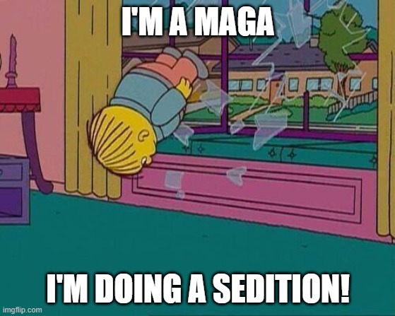 You're all so very very very special. | I'M A MAGA; I'M DOING A SEDITION! | image tagged in simpsons jump through window,maga,sedition,traitors | made w/ Imgflip meme maker
