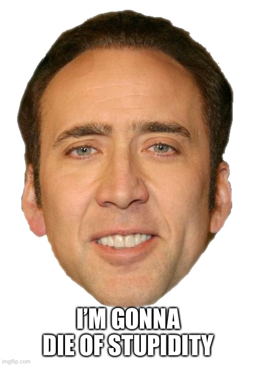 Nicolas cage face | I’M GONNA DIE OF STUPIDITY | image tagged in nicolas cage face | made w/ Imgflip meme maker