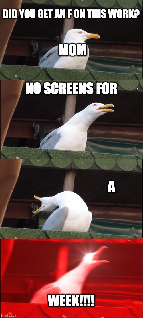 School Sucks. | DID YOU GET AN F ON THIS WORK? MOM; NO SCREENS FOR; A; WEEK!!!! | image tagged in memes,inhaling seagull,i hate school | made w/ Imgflip meme maker