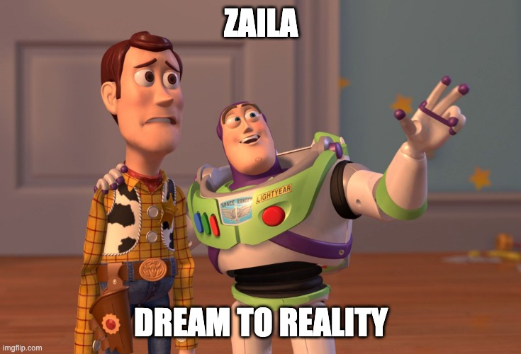 X, X Everywhere | ZAILA; DREAM TO REALITY | image tagged in memes,x x everywhere | made w/ Imgflip meme maker