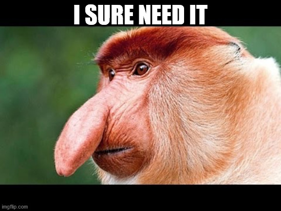 Big Nose Monkey | I SURE NEED IT | image tagged in big nose monkey | made w/ Imgflip meme maker