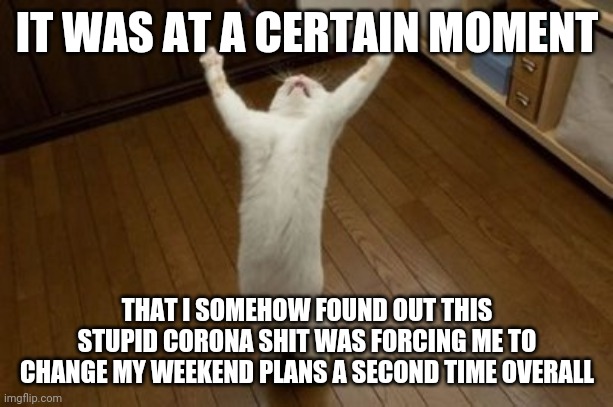Why Why Why Funny Cat | IT WAS AT A CERTAIN MOMENT; THAT I SOMEHOW FOUND OUT THIS STUPID CORONA SHIT WAS FORCING ME TO CHANGE MY WEEKEND PLANS A SECOND TIME OVERALL | image tagged in why why why funny cat,dank memes,weekend,coronavirus meme,memes | made w/ Imgflip meme maker