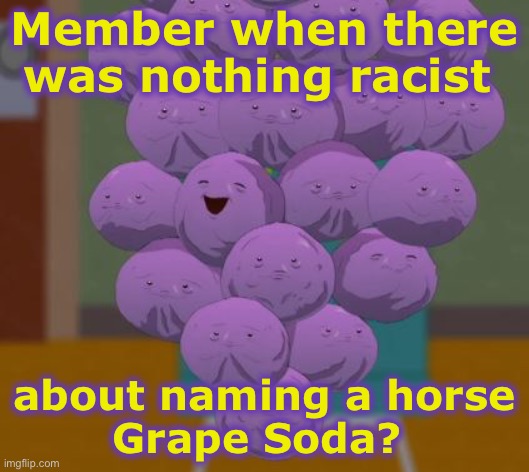 Must be a racist horse | Member when there was nothing racist; about naming a horse
Grape Soda? | image tagged in member grapes,race horse | made w/ Imgflip meme maker