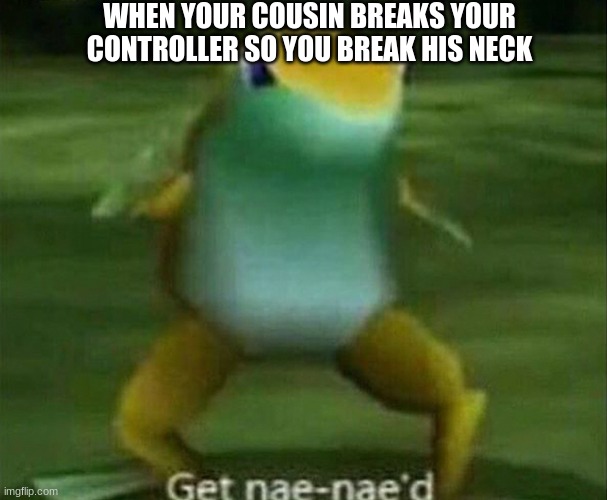 Get nae-nae'd | WHEN YOUR COUSIN BREAKS YOUR CONTROLLER SO YOU BREAK HIS NECK | image tagged in get nae-nae'd | made w/ Imgflip meme maker
