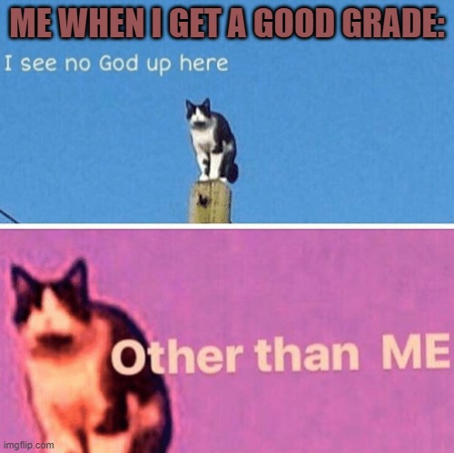 Hail pole cat | ME WHEN I GET A GOOD GRADE: | image tagged in hail pole cat | made w/ Imgflip meme maker