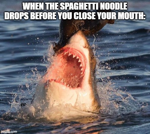 Travelonshark Meme | WHEN THE SPAGHETTI NOODLE DROPS BEFORE YOU CLOSE YOUR MOUTH: | image tagged in memes,travelonshark | made w/ Imgflip meme maker