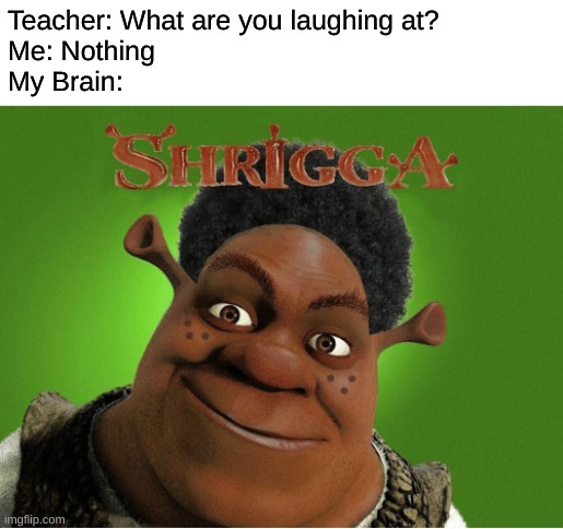 he has the power of the n word | Teacher: What are you laughing at?
Me: Nothing
My Brain: | image tagged in shrek | made w/ Imgflip meme maker