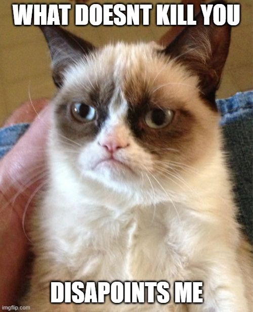 Grumpy Cat | WHAT DOESNT KILL YOU; DISAPOINTS ME | image tagged in memes,grumpy cat | made w/ Imgflip meme maker